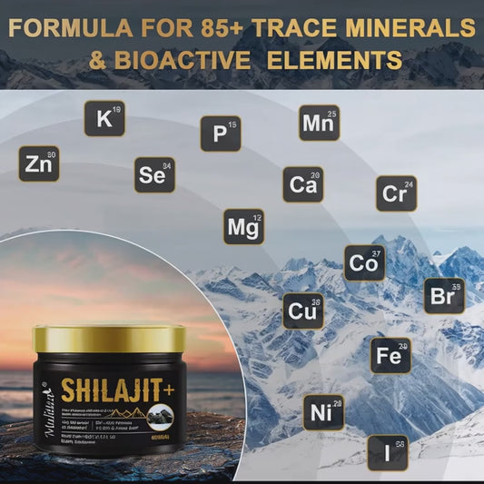 Reines Shilajit-Resin